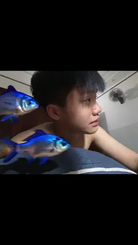 🐟🐟 #xh #xuhuong #trend #viral 