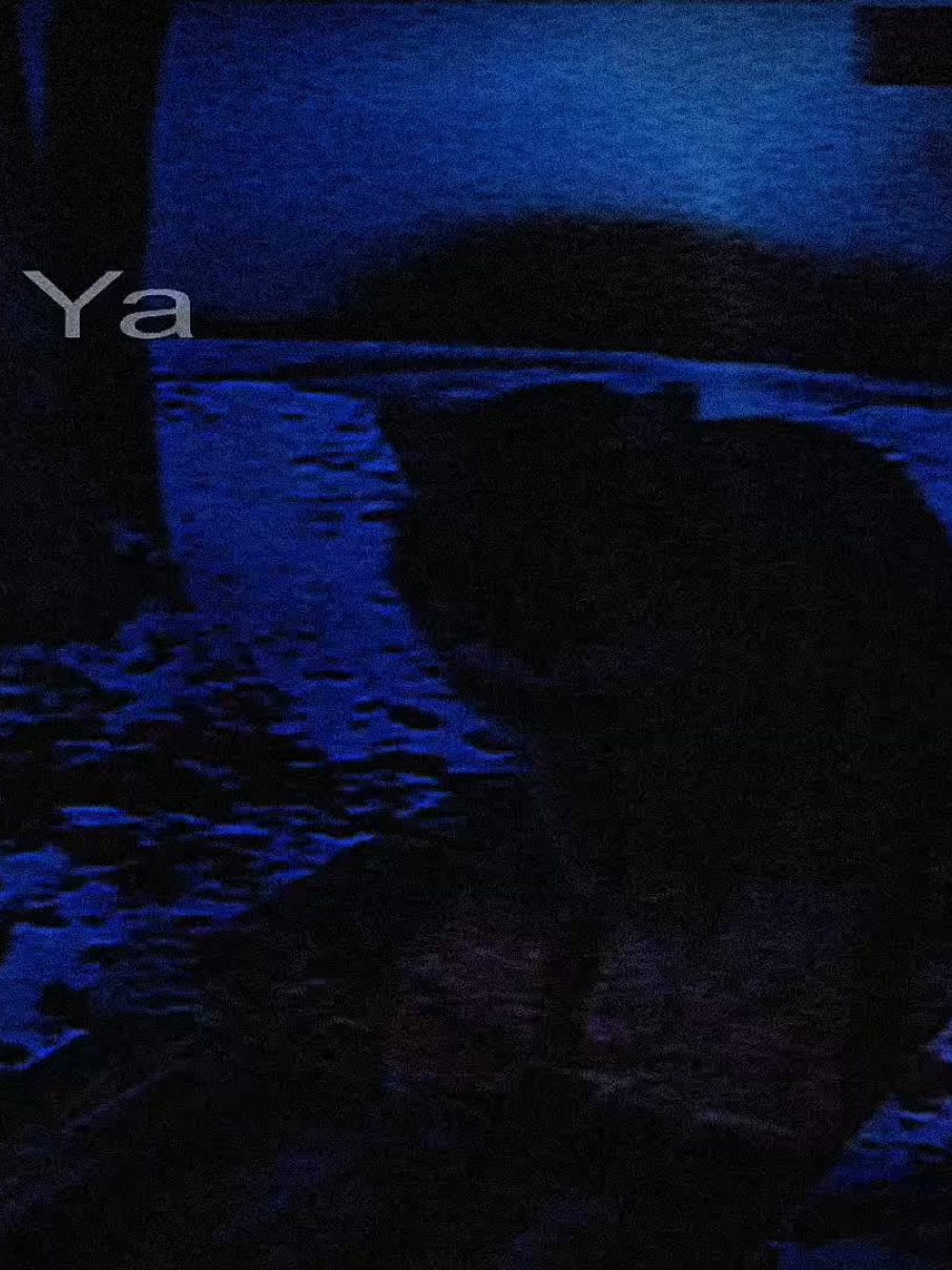 hola amikos ahora es no queda nada, de ataquemos, espero les guste pq no he visto a nadue q haya hecho un video con esta canción. #Edit #ataquemos #fyp #brat #bratlyrics #fyppppppppppppp  #paradedicar #doomer  #corecore  #ladoc  #sad #gato #textorojo #triste #depressedtiktok #real #marcdemarco #radiohead #themarias #cuco #duster 