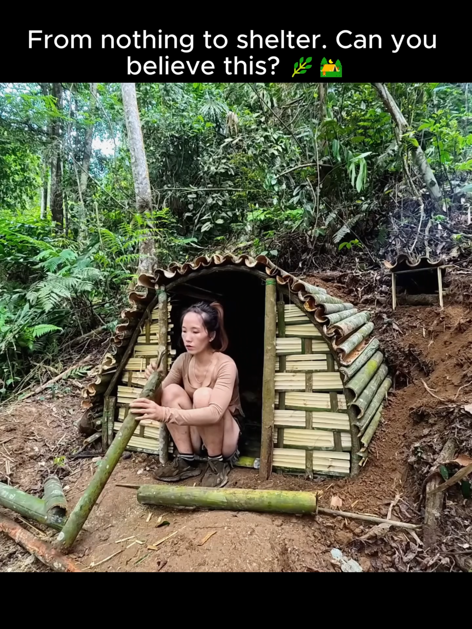 Built This Jungle Shelter Alone – No Tools, Just Nature!#JungleBuild #SoloSurvival #BambooLife #NatureSkills #DIYShelter
