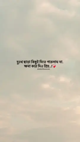 দুঃখ ছাড়া কিছুই দিতে পারলাম না। ক্ষমা করে দিও প্রিয়..!🙂