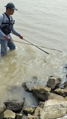 nyetrum di laut bolo  hanya bikin ikan pingsan sementara ya bolo, bukan membunuh ikan  spek 4f igbt