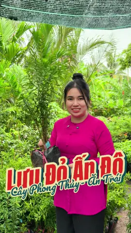 Giống cây mà mang đến cho cả nhà mình nhiều công dụng thì không nên bỏ qua nha. #huyenlinhgarden #vuacaygionghuyenlinh