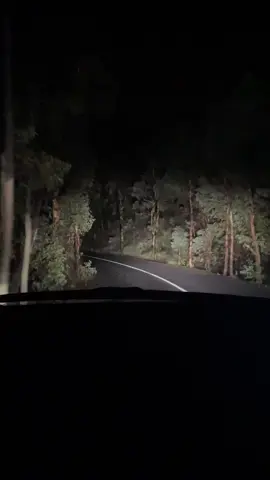 ~and I cannot stop adoring nature’s beauty 🌳  #nature #nightdriving #inthemiddleofthenight #exploringperthbeauty #foryoupage #creatorsearchinsights 