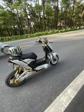 Bavi nay ai gặp con xe này không ạ#trongdaixd28 #xediendo #xh 