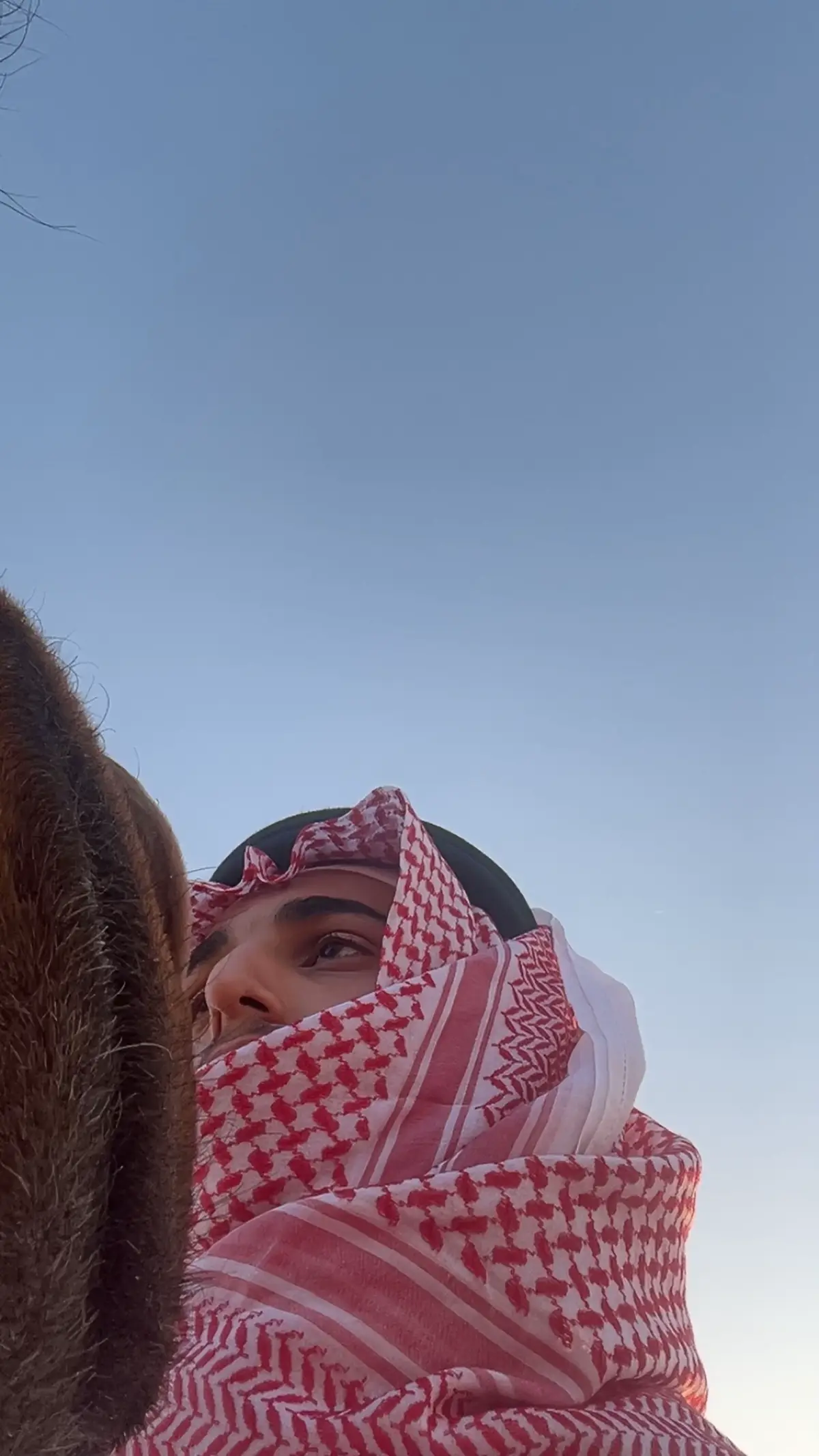 #الشعب_الصيني_ماله_حل😂😂 