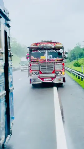 වැස්සෙම ගාලු යන හැමෝම දන්න කපල් එක🥺❤️ #EVERGREEN #RED_TIGER #තරුල්_super_line💙🙈 #KING_OF_525 #බස්_පිස්සුව @හීන සිත්තරී - LUXURY EDITION 
