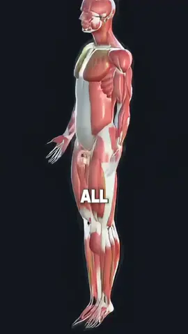 Age is just a number when your T-levels are on point. #ultimapeak #shilajit #shilajitgummies #shilajitbenefits