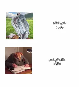 . .  .  .  #مالي_خلق_احط_هاشتاقات #explorepage #explore #foryou #fyp #contentcreatorinsights #اكسبلورexplore #مالي_خلق_احط_هاشتاقات #اكسبلور 