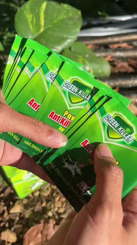 ซื้อยกกล่องคุ้มกว่า @PrannarinShop  @PrannarinShop #กําจัดมด #เบื่อมด #เหยื่อกําจัดมด #ผงกำจัดมด #ยาเบื่อมด #prannarinshop 