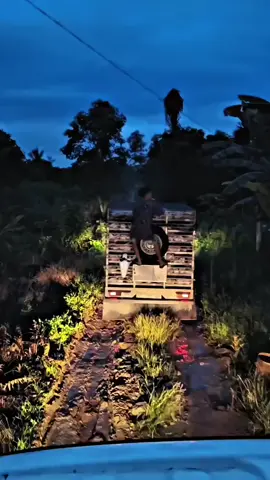 #granmaxpickup #kurirayam #lintasayamkalimantan #bugistiktok #fypppp #fypviraltiktokジ☆♡ 