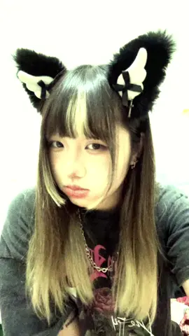 🐈#07 #🌹 #tiktok ##推薦 #fypシ 