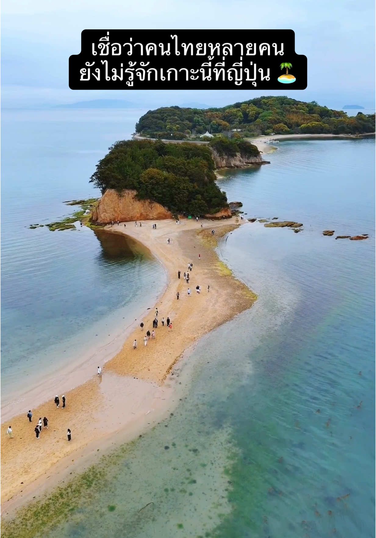 เชื่อว่าคนไทยหลายคนยังไม่รู้จักเกาะนี้ที่ #ญี่ปุ่น 🏝️🇯🇵 #shodoshima เหมาะที่จะมานอนพักตากอากาศชิลล์ๆ บินมาลง Takamatsu แล้วนั่งเรือมานอน 2 วัน 1 คืน #PR #TikTok #connectbytourism  #裏瀬戸芸 #瀬戸内 #setouchi #Tiktokพาเที่ยว