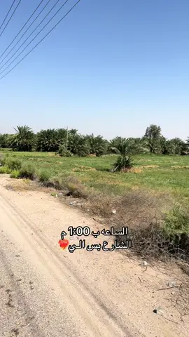 #سيد_فاقد_الموسوي #مشايه_الامام_الحسين #مشايه #الاربعينيه #explore #اكسبلور 