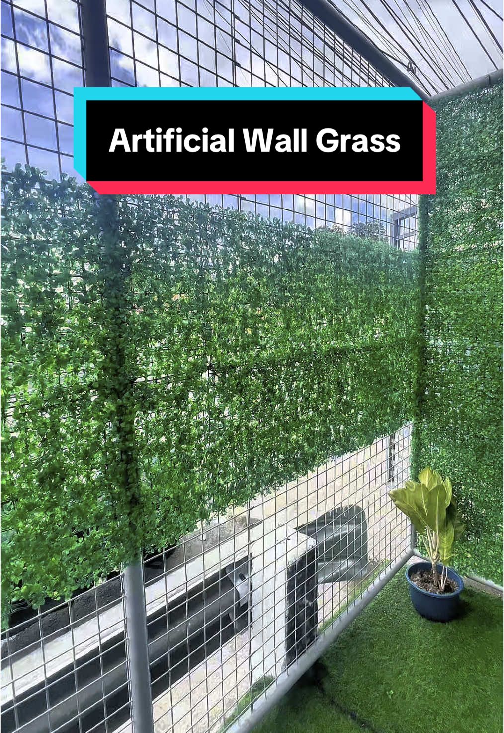 Artificial Wall Grass at nakakatulong upang magkaroon ng privacy ang inyong place lalo na at king expose masyado ang inyong mga balcony like us. #artificialgrassinstallation #DIY #wifediy #wallgrass #balconygarden #balconymakeover 