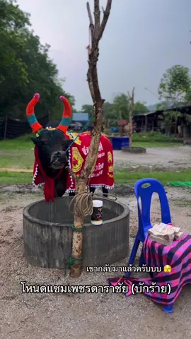 เขากลับมาแล้วครับ 🤟🏻#โหนดเเซมเพชรดาราชัย #บักร้าย420 #