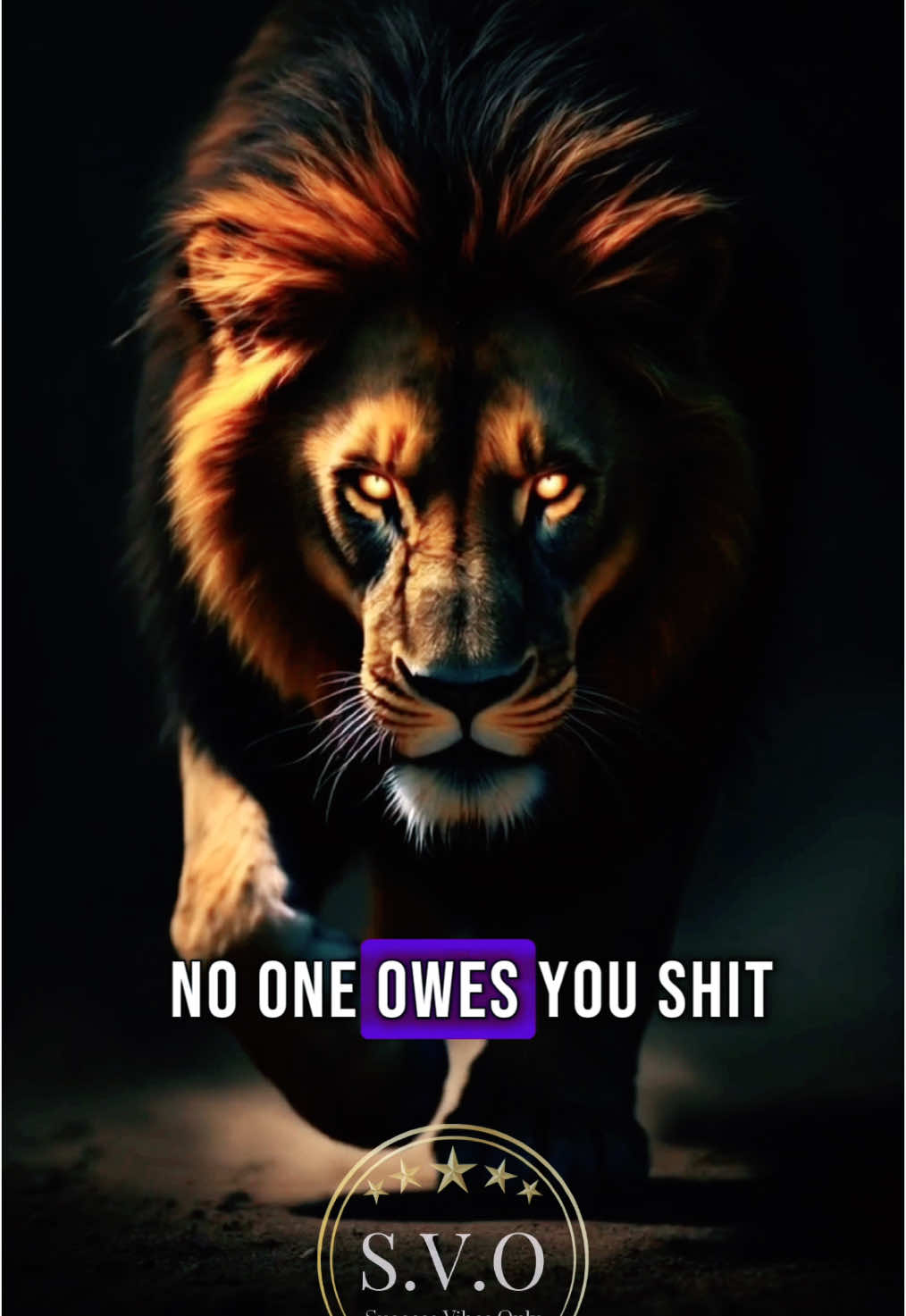 No one owes you shit. Success isn’t given, it’s hunted down. #successvibesonly #successisthebestrevenge #nomoreexcuses #lionmentality #realstrength 
