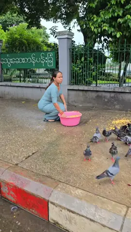 #မိုးအေးအေးနဲ့သီချင်းအေးအေးလေးနဲ့☺️ ##🦅#foryoupage #fyyyyyyyyyyyyyyyyyyy 