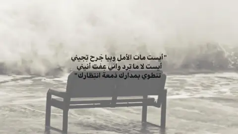 #باسم_الكربلائي  #foryoupage  #fypシ  #viral  #fyp 