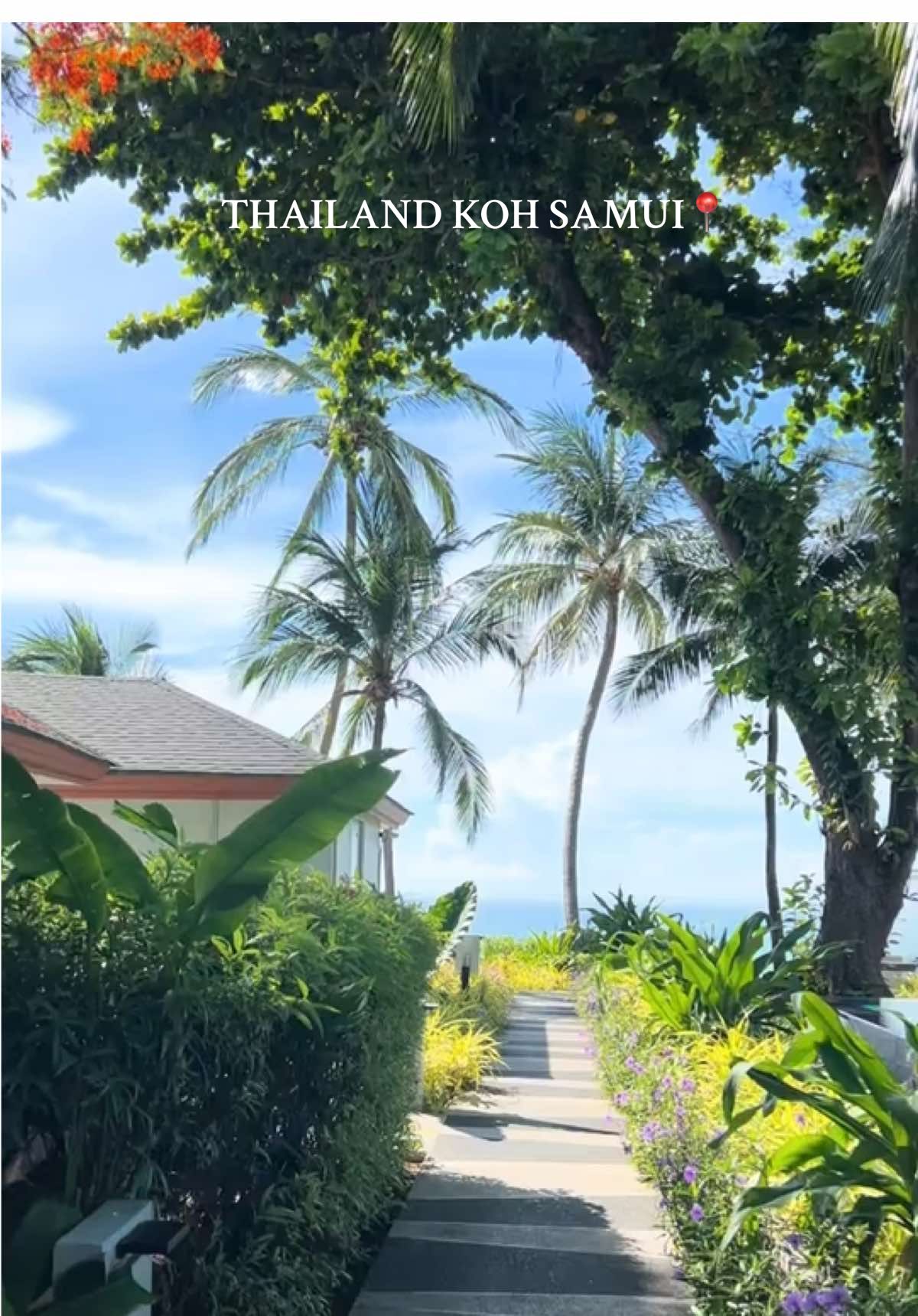 The sound of ocean and sun  @clarissa_____069 🫂🫀 #kohsamuithailand #thailand #fyppp #beautifulplaces #explore #asia #paradise #thailandtravel #traveling #samui #island #🌞 #🌊 #youandme #couplegoals #SelfCare #metime #feelings #holidaytrip #beachvibes #ocean #sea #sun #meer #urlaubstipps #favoriteplace #viraltravel #foryoupagе #trendiing #viralvideos #เกาะสมุย #สมุย