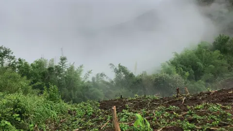 Đi làm cũng có video đăng 🌧️#canhdep #vungnui 