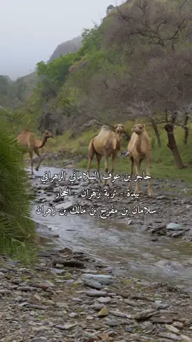 #زهران_هامة_الازد #زهران #سلامان #الباحة #غامد #بني_شهر #الشعب_الصيني_ماله_حل😂😂 #عتيبه #حرب 