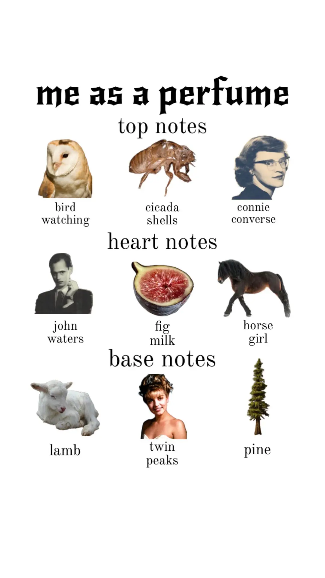 finally a sort of introduction  #fraghead #fragrance #nichefragrance #perfumetiktok #fragrancetiktok #johnwaters #twinpeaks #davidlynch #horsegirl #fypシ 