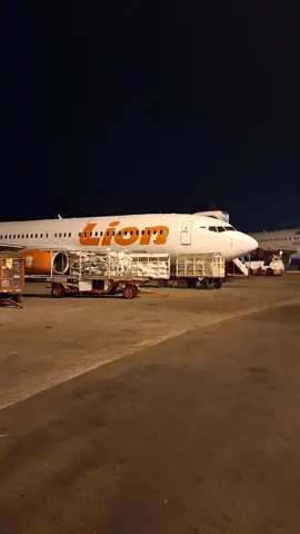 vibes naik pesawat batik air di malam hari emang sebagus itu ya soekarno hatta to haululeo kendari#batik air#fypppp for youuuuu