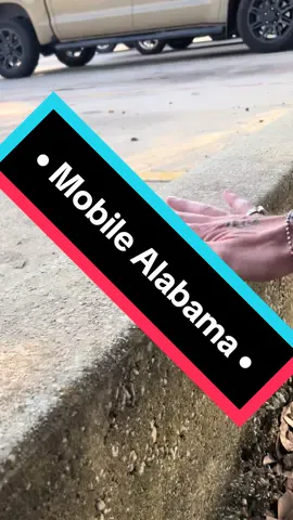 • Mobile Alabama • (We weren’t in Alabama long but it was worth stopping and getting a few clips in Mobile. Hope you all are enjoying this trip as much as we did.) #clikclakwaks #fyp #fypシ #viral #foryoupage #thedirtytoes #dirtytoes #r3dfac3 #33 #nezramiah #nez #nezzy #tdtp #pleaseshare #thedirtytoesproduction #fingerboardwax #fingerboard #fingerboarding #hotwheels #monilealabama 
