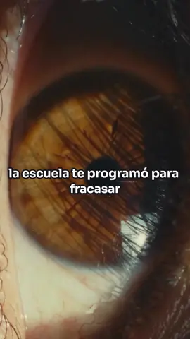 #negociosdigitales #comoempezarnegocioonline #negociosporinternet #negociodigital 