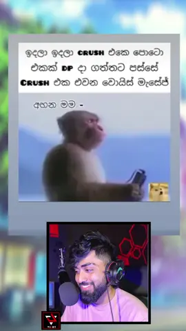ඒවා ඔයාට තේරෙන් නෑ 😪  #fyp #yourfavorite #eraofvijay #crush 