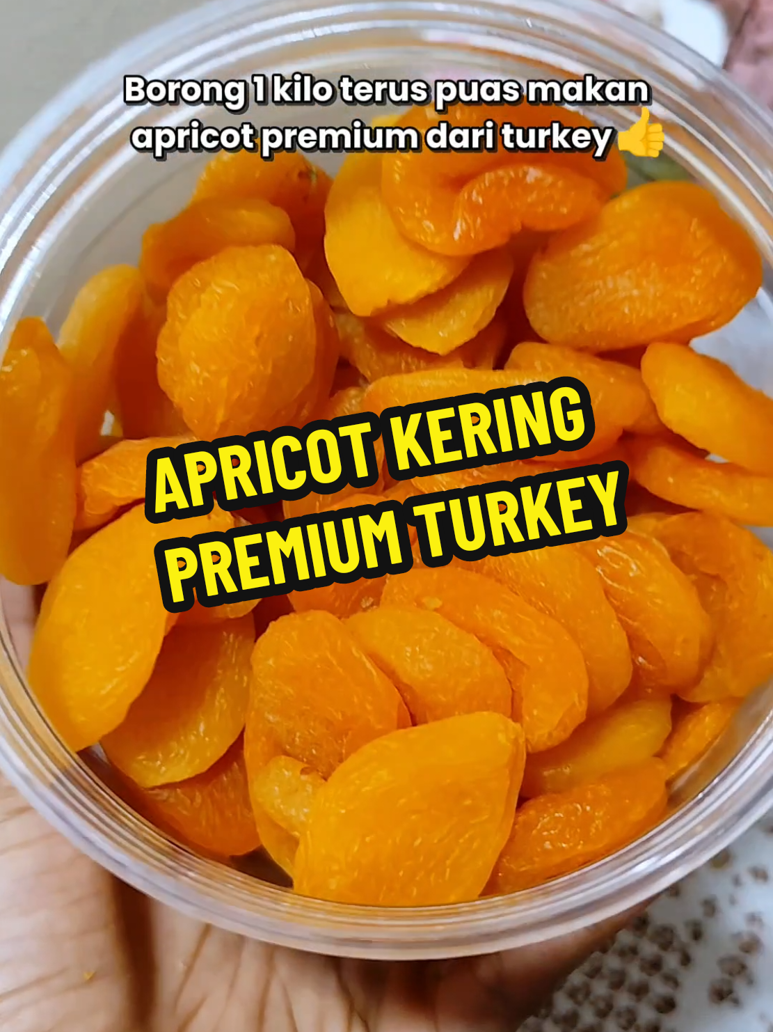 takrugi beli premium turkey #apricot #buahapricotkering #apricotkering #buahapricot #masukfyp 
