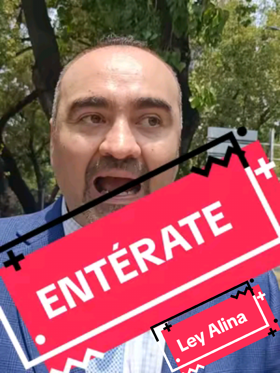 ¿Cómo se origina la ley Alina? Aquí te lo explica el Lic. Rodolfo JR. Ruiz Vega. #rodolfojrruizvega #leyalina #niñosconmapa #colectivonacionaldemujeresporlaigualdad #senadodelarepublica #bajacaliforniasur #presunciondeinodencia #legitimadefensa #violencia #perspectivadegenero  #policia #mujer  #hombres #mexico #2025 