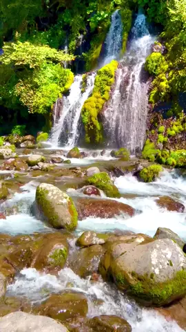 #山梨県 #山梨 #Yamanashi #北杜市 #吐竜の滝 #beautifuljapan #japantrip #japantravel #japantravel #travelawesome  awesome place!!