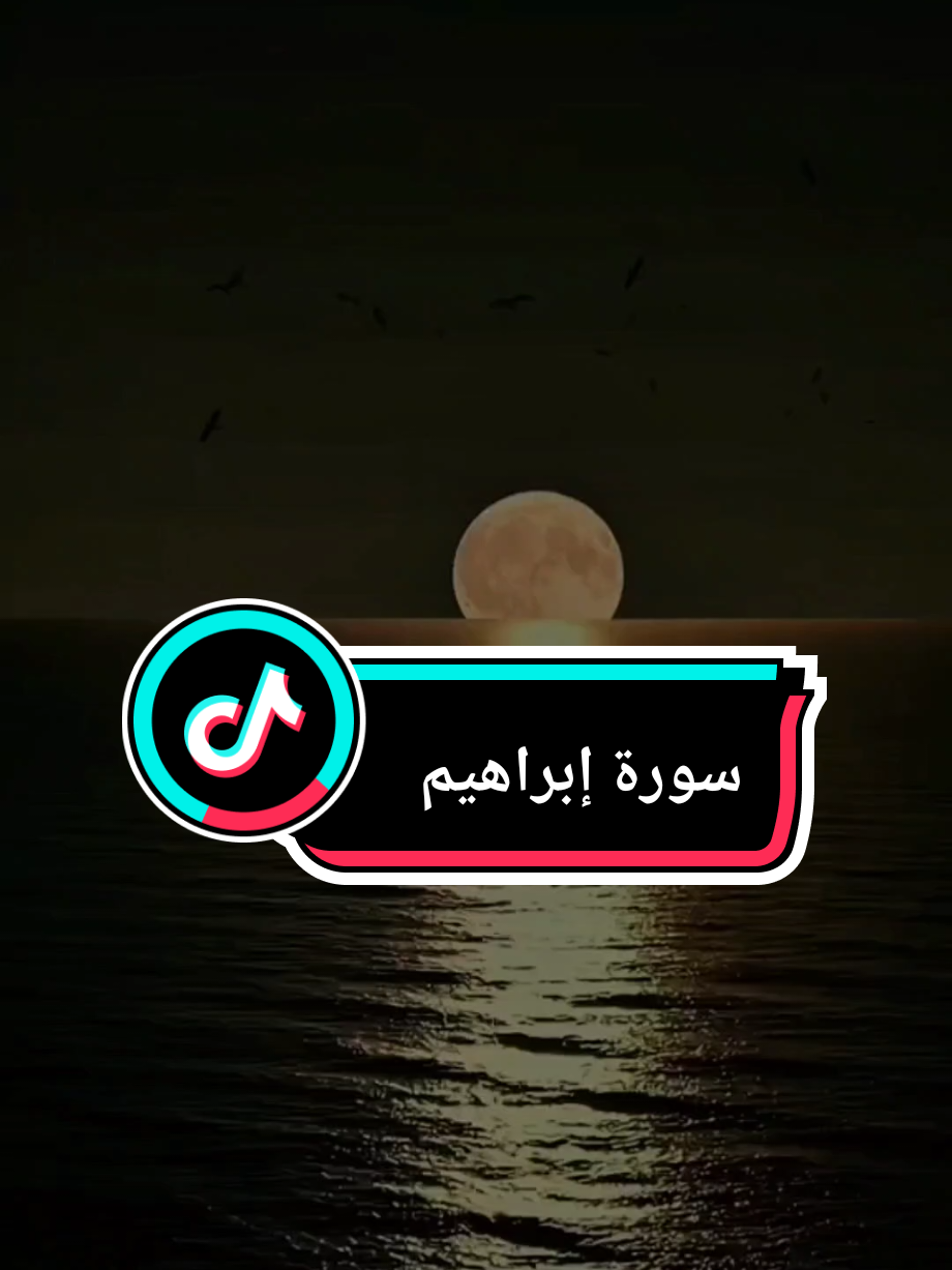 {وَقَدْ مَكَرُوا مَكْرَهُمْ وَعِندَ اللَّهِ مَكْرُهُمْ}#سورة_ابراهيم #فارس_عباد #الله #قران #قران_كريم #القران_الكريم #القران_الكريم_راحه_نفسية😍🕋 #اكسبلور #اكسبلورexplore #اكسبلورر 