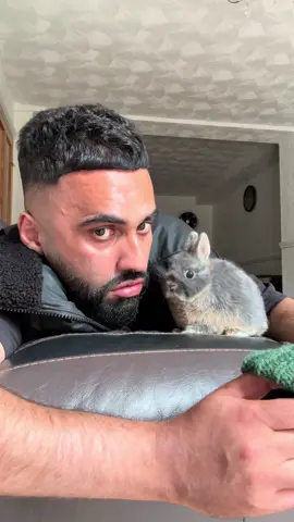 Teaching Ming it’s okay to wear a hat #bunny #animals #hat #PetsOfTikTok #animalsoftiktok 