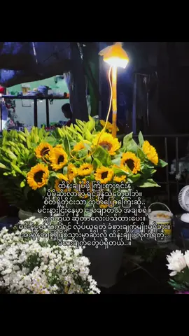 ကိုယ်ကြိုက်တဲ့ ပန်းလေးနဲ့ မင်းရဲ့ အချစ်တွက် ကိုယ့်ရဲ့စကားသံတွေသိရဲ့လား မင်းမြင်ပါရဲ့လား မင်းကြိနေလား မင်းနားထောင်ရဲ့လား Vb.#fyppppppppppppppppppppppp #ruka_382 #flypシ #foryoupage #foryoupage #viewsproblem #viewsproblem #tiktok #trending #CapCut #စာတို ##tiktok 