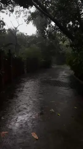 pasand 💗 #fyp #rainyday #weather #nature #dreamlife #beauty #1million #loveit @TikTok @TiktokPakistanOfficial 
