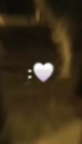#CapCut 🕊🦋🕊🦋🕊