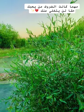 مهما كانت الضروف من يحبك حقا لن يتخلى عنك 💔✨#تصويري📸 #عباراتكم_الفخمه📿📌 