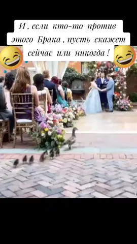 #Свадьба#Юмор #Позитив #врекомендации 