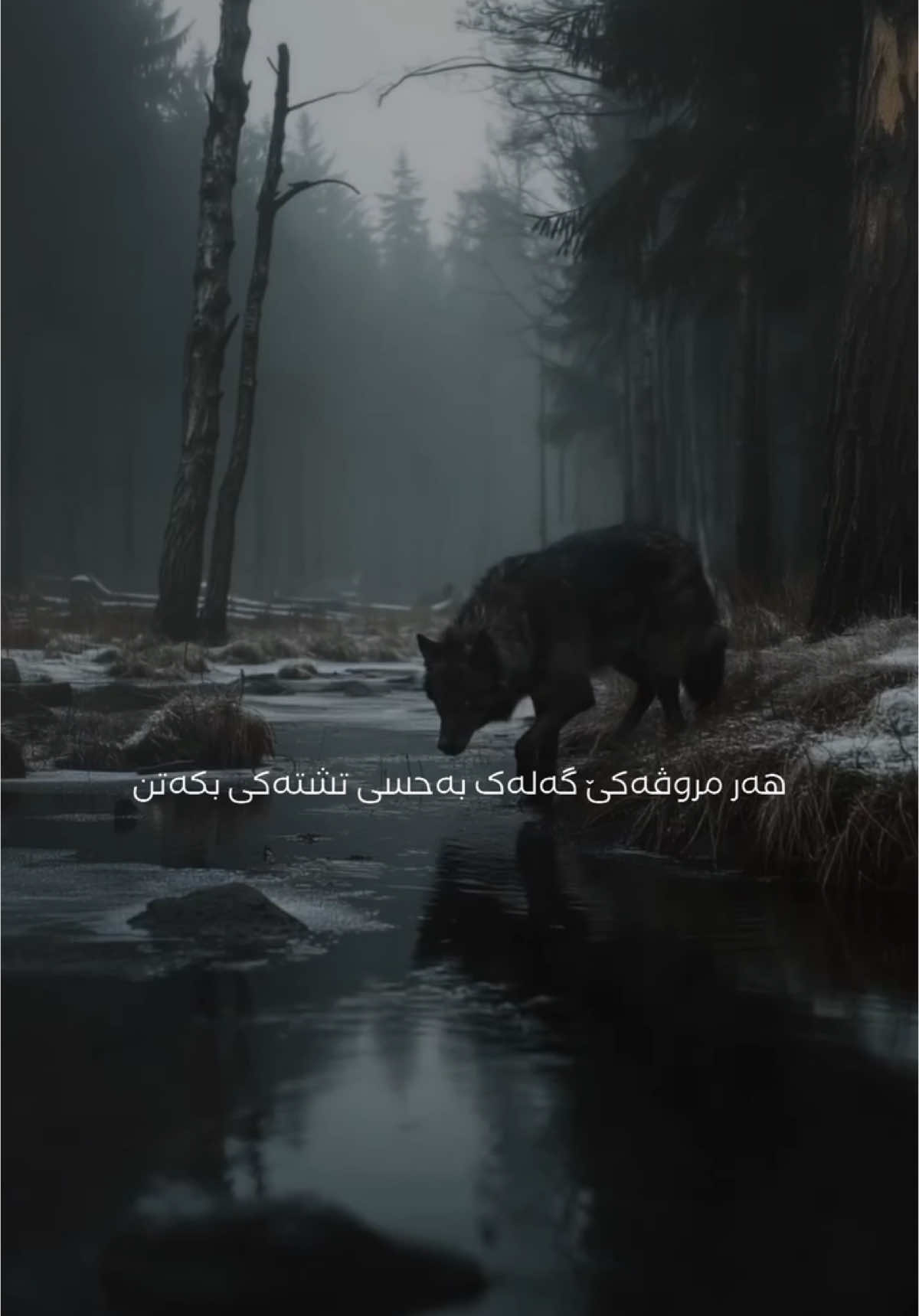 #duhok_zaxo_amedi_semel_akre #دهوك_زاخو_سليماني_ئاكري_ئامیدی_هولیر 