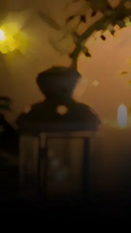 #صاحبه_السمو👑💛 