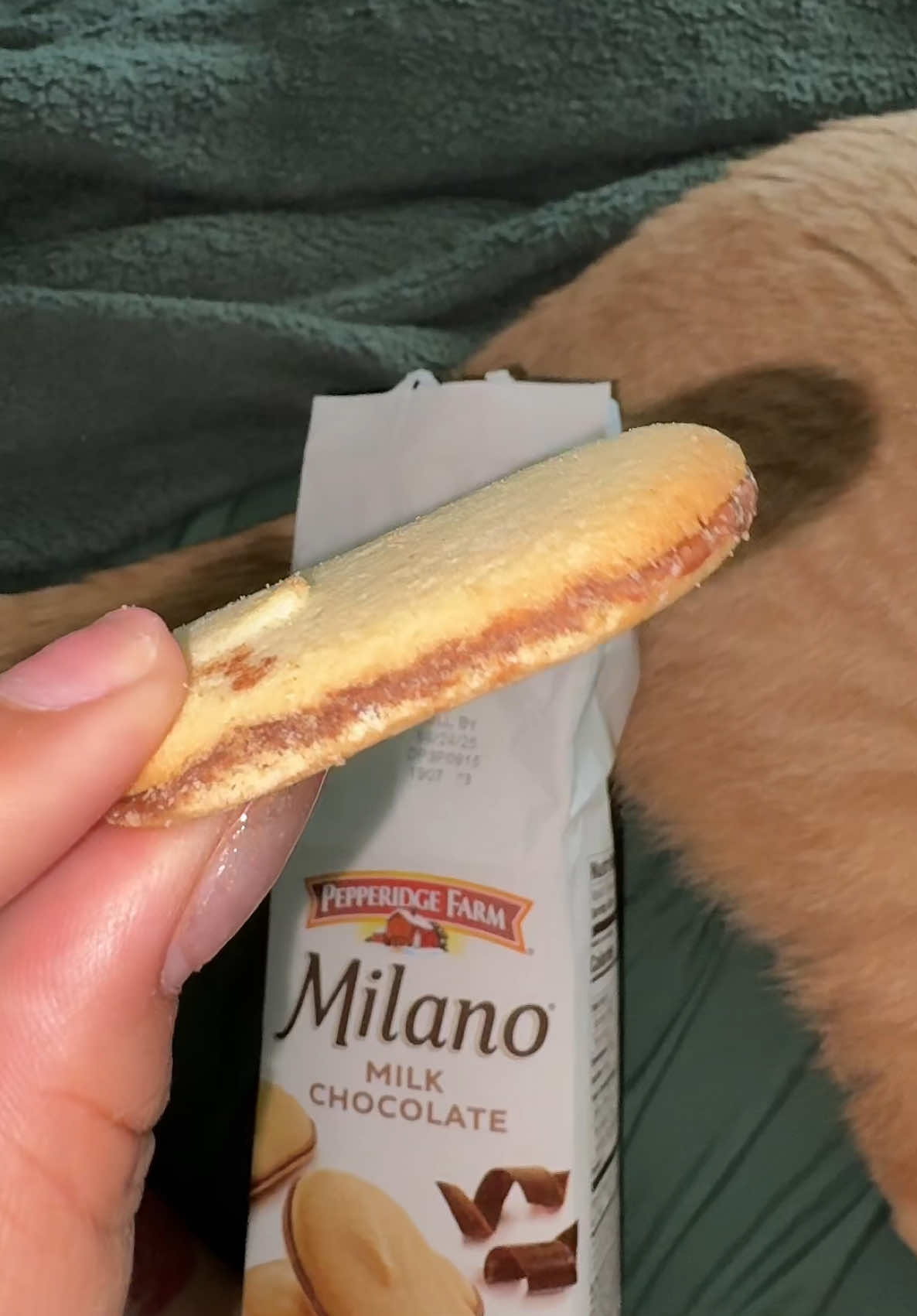 COUNT YOUR DAYS @Pepperidge Farm #wtfisthis #milanocookies 