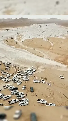Truck vs. Flash Flood #viral #tiktok #trending 