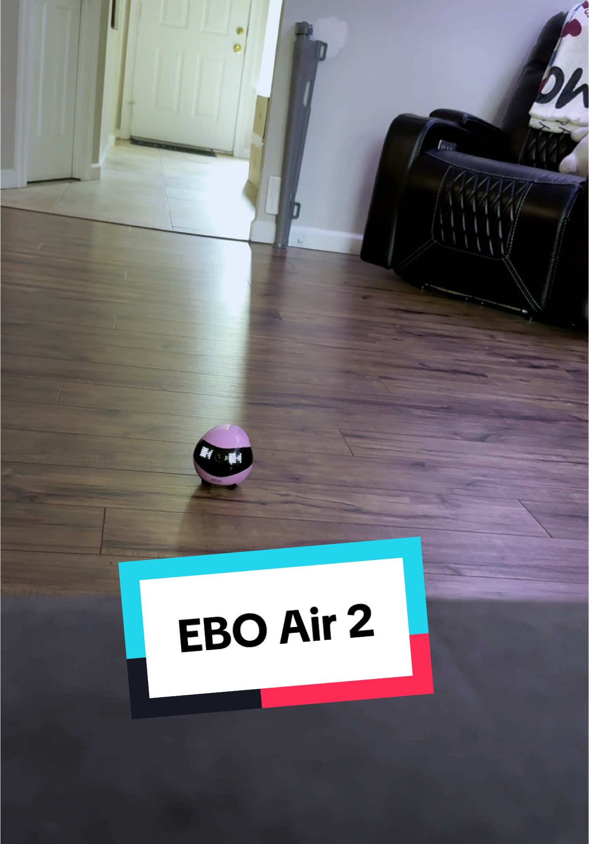Supposed to use the ebo to check on Sophie but he likes to jsut bother us with it #ebo #enabot #petrobot #spycamera #robotcamera #ai #securitycamera #tiktokshopcreatorpicks 