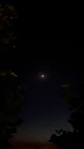 وفي نهاية المطاف الإنسان يَعتاد مهما كان حجم الأسى  🖤 #عبارات #عباراتكم #اقتباسات_عبارات_خواطر #اقتباسات #حزن #موسيقى #حزن #خواطر #فولو #كومنت 