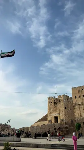 حلب الروووح 💚 #سوريا🇸🇾  #حلب 