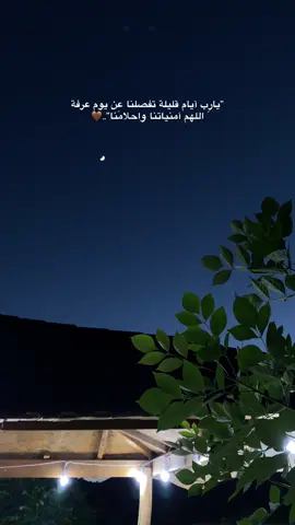 🤎…