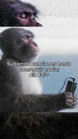 Palabras de amor - Roberto Munard  Mi canción favorita, también la que pone mi madre todo el tiempo, #fyp #musica #LifeIsGood 