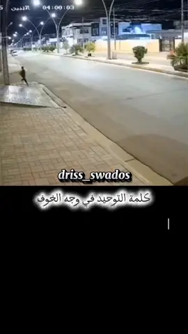 كان طفل صغير يمشي وحده في الشارع، فهاجمته مجموعة من الكلاب. لم يصرخ، لم يبكِ… بل ركض بثبات، وبقلبٍ شجاع قال: 